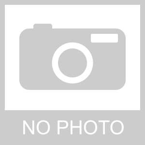 Found - African Grey 