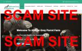 SCAM SITE - africangreyparrotfarm.com - African Grey Parrot Farm