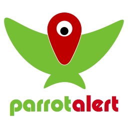 Parrot Bird Aviary Health And Safety