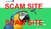 SCAM ALERT - macawsfarm.com - Macaws Farm Macaw Parrots for sale
