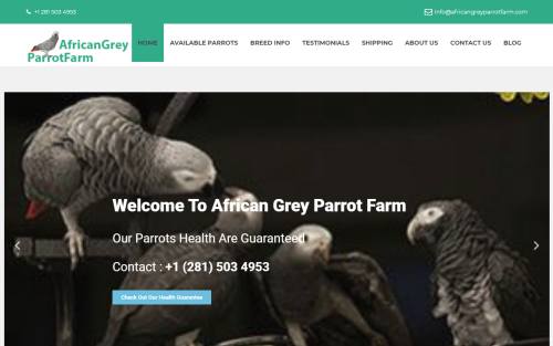 africangreyparrotfarm.com
