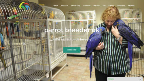 globalparrotsandmore.com