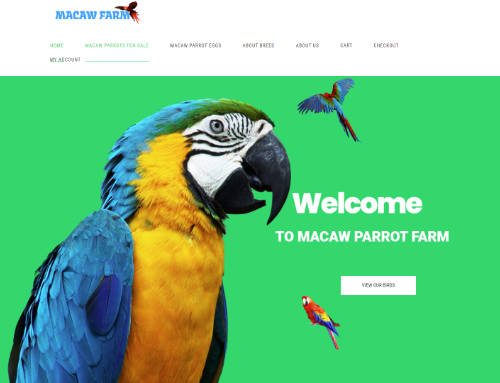 FHO Macaws e-Sports