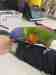 Lory / Lorikeet