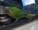 Conure