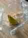 Lovebird