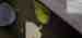 Budgerigar