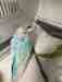 Budgerigar