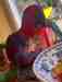 Eclectus