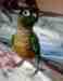 Conure