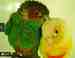 Conure