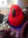 Eclectus