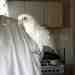 Cockatoo