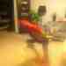 Macaw