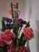 Budgerigar