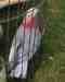 Galah Cockatoo