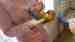 Conure