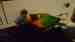 Lory / Lorikeet