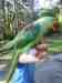 Alexandrine