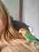 Lovebird