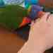 Lory / Lorikeet