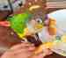 Conure