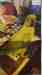 African Ringneck Parakeet
