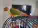 Conure