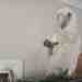Cockatoo