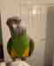 Senegal