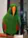 Eclectus