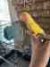 Conure