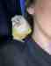 Conure