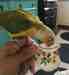 Conure