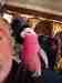 Galah Cockatoo