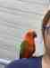Conure