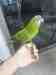 Macaw