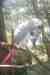 African Grey