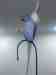 Indian Ringneck Parakeet