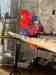 Eclectus