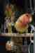 Lovebird