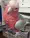 Galah Cockatoo