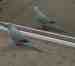 Indian Ringneck Parakeet