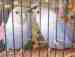 Lovebird