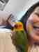 Conure