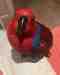 Eclectus