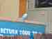 Budgerigar