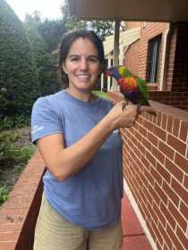 Found Lory / Lorikeet