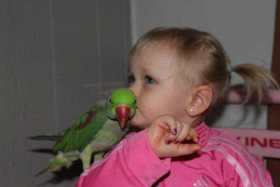 Lost Alexandrine