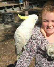 Lost Cockatoo